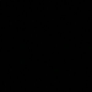 Meet your Posher, Raylean